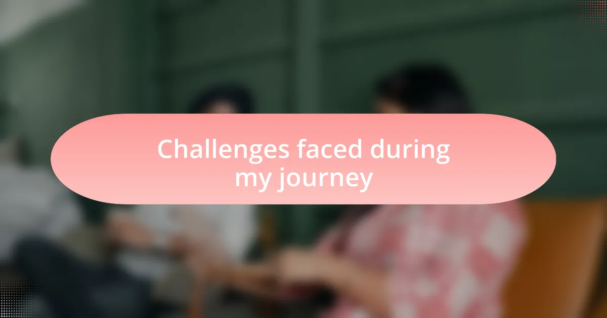 Challenges faced during my journey