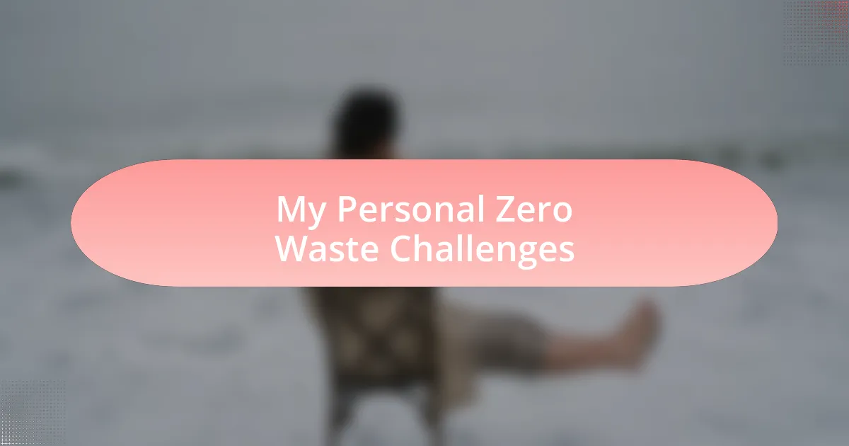 My Personal Zero Waste Challenges