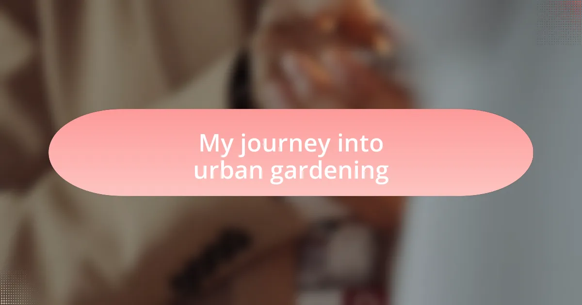 My journey into urban gardening